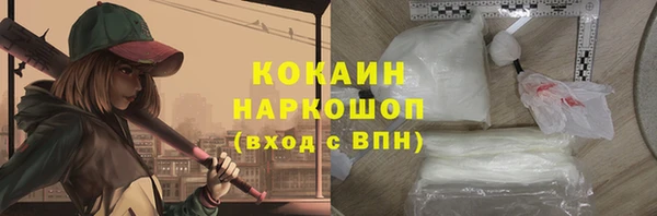 сатива Дмитровск